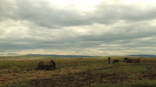 Rural Moldova. Photo: ESI