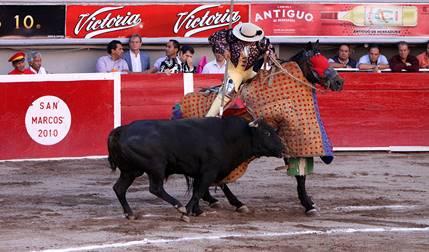 A picador wounding the bull
