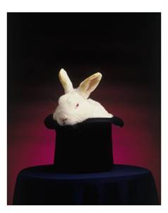 01 It is one of the oldest tricks of any magician to make a rabbit appear out of an empty hat.jpg