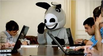 Donkey press conference in Baku